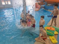 whatsapp image 2026-03-01 at 19.52.17